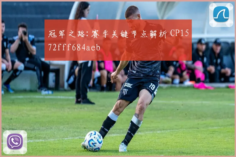冠军之路:赛季关键节点解析 CP1572fff684aeb